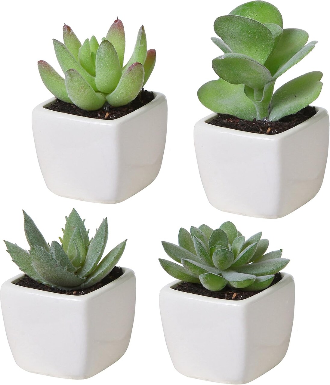 Set of 4 Mini Artificial Succulent Plants in Square White Ceramic Pots – Faux Green Succulents with Moss Soil for Home, Office, Desk, Shelf & Tabletop Decor